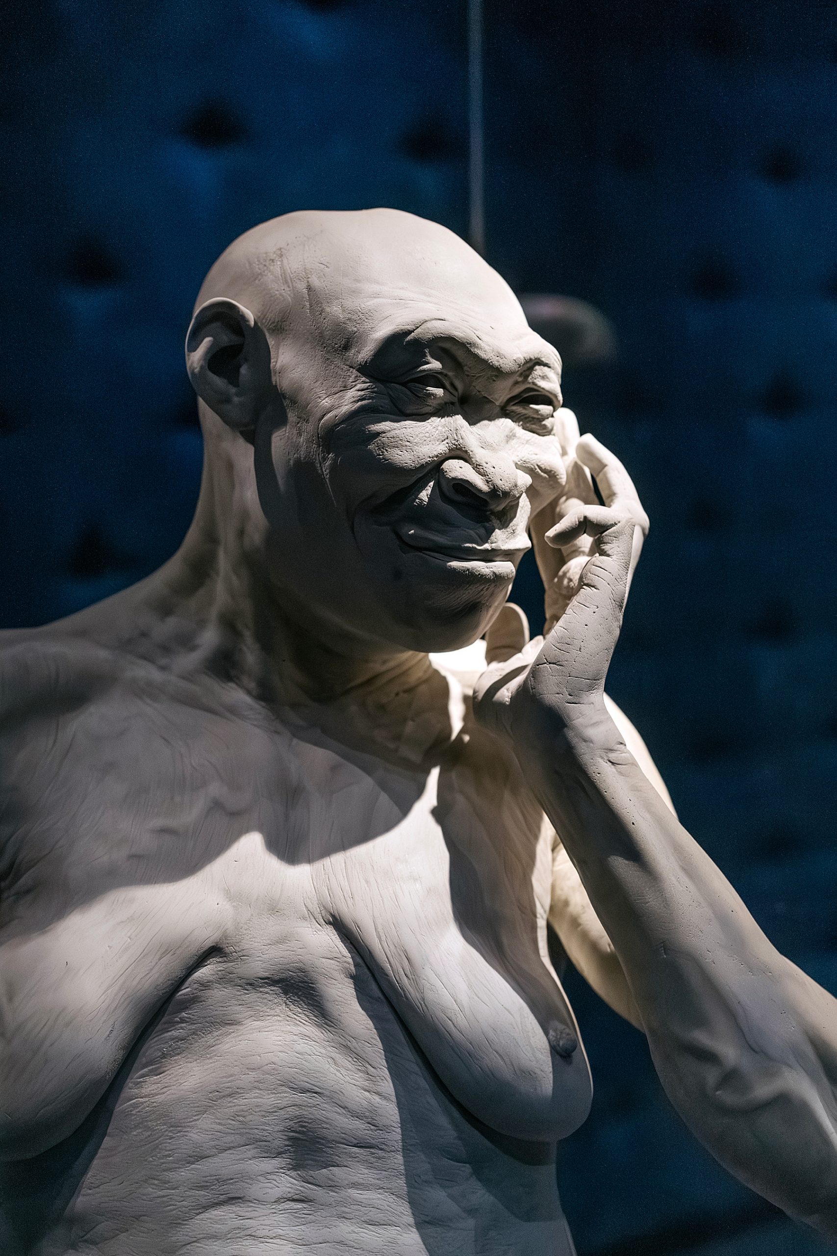 Naturalis musée histoire naturelle Leyde Hollande Pays-bas