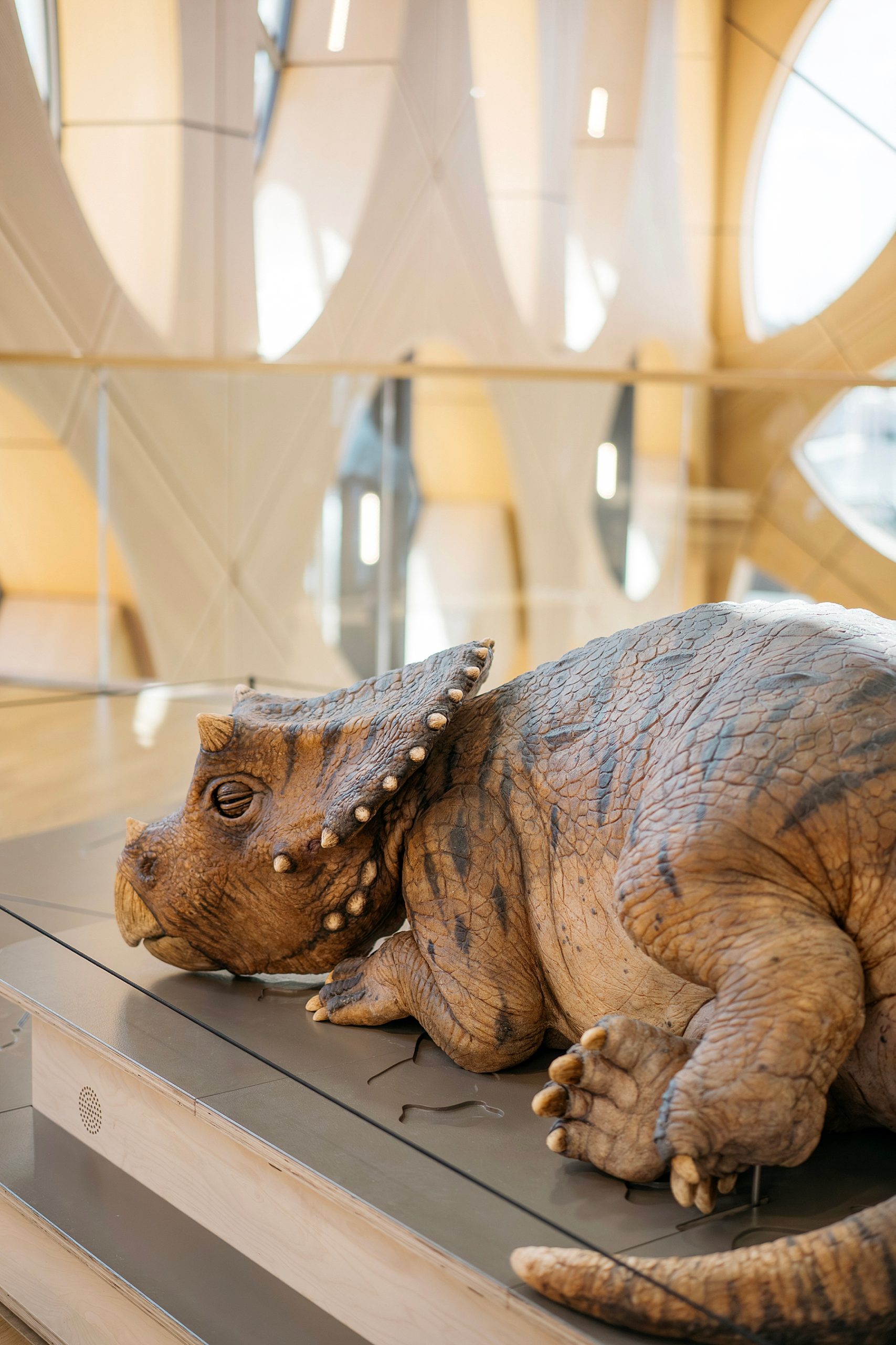 Naturalis musée histoire naturelle Leyde Hollande Pays-bas dinosaure