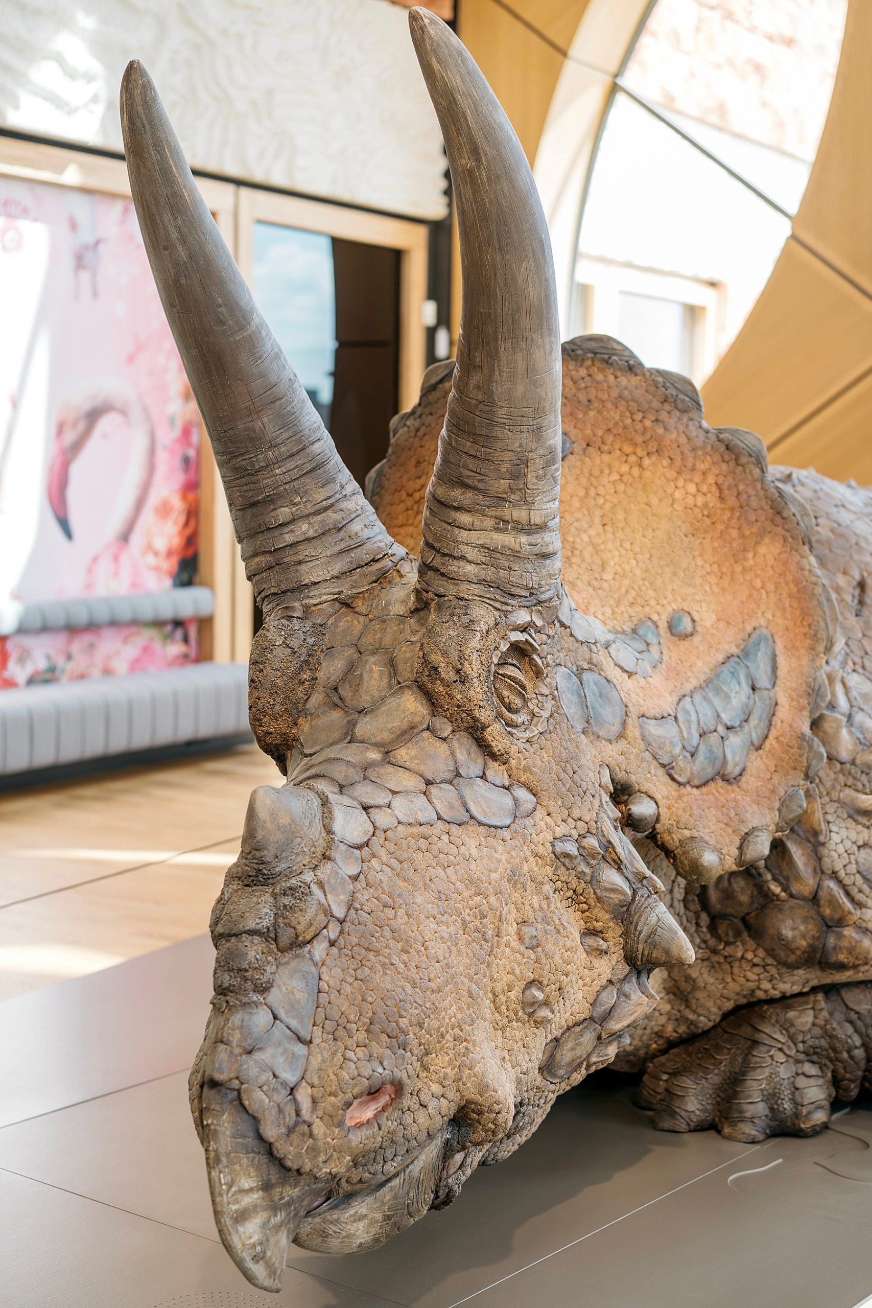 Naturalis musée histoire naturelle Leyde Hollande Pays-bas dinosaure