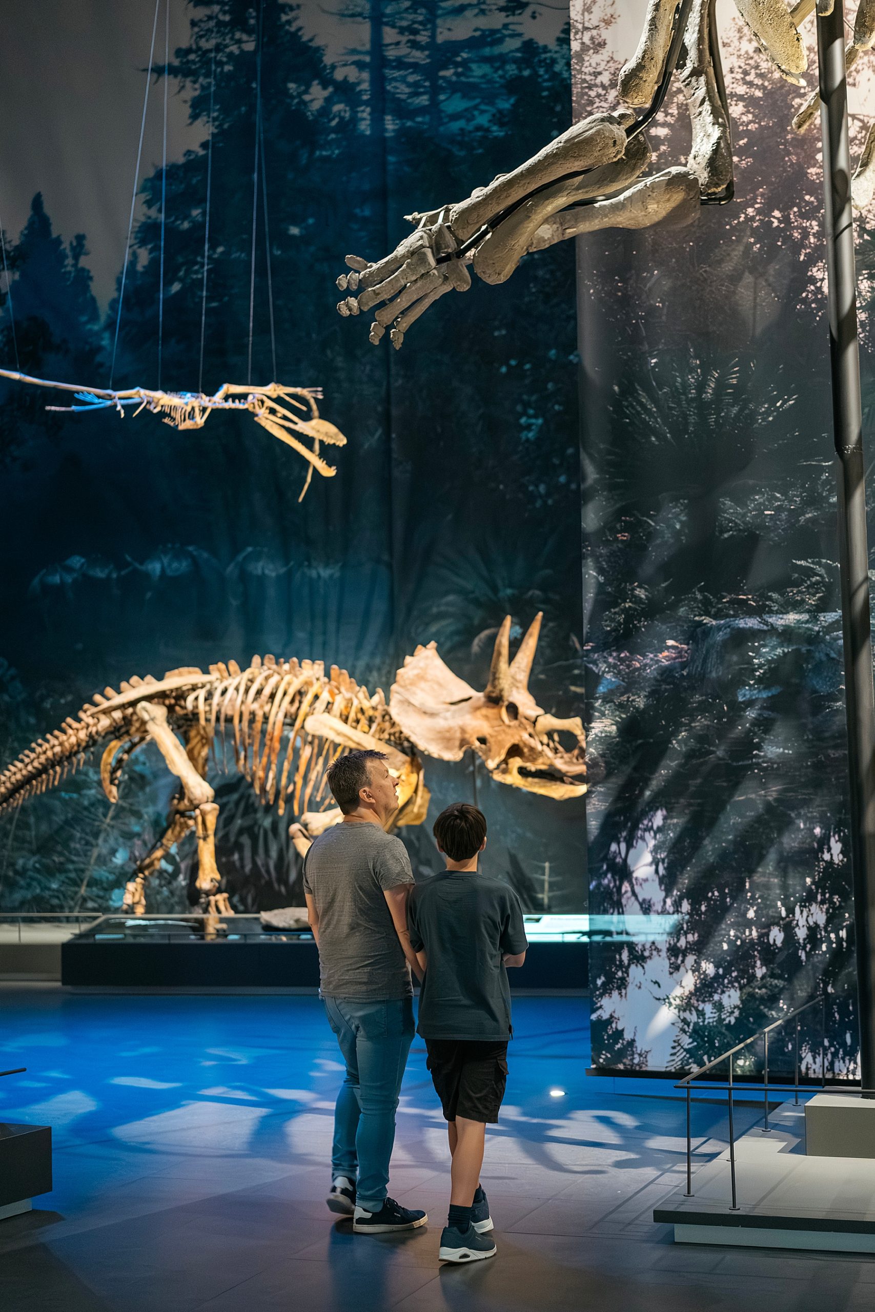 Naturalis musée histoire naturelle Leyde Hollande Pays-bas dinosaure