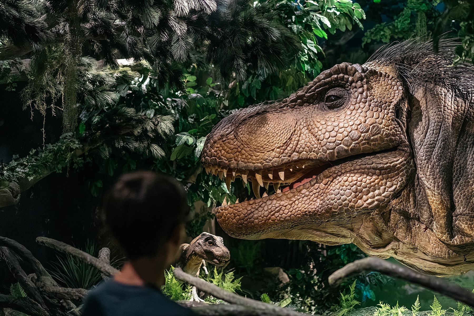 Naturalis musée histoire naturelle Leyde Hollande Pays-bas dinosaure Rexperience