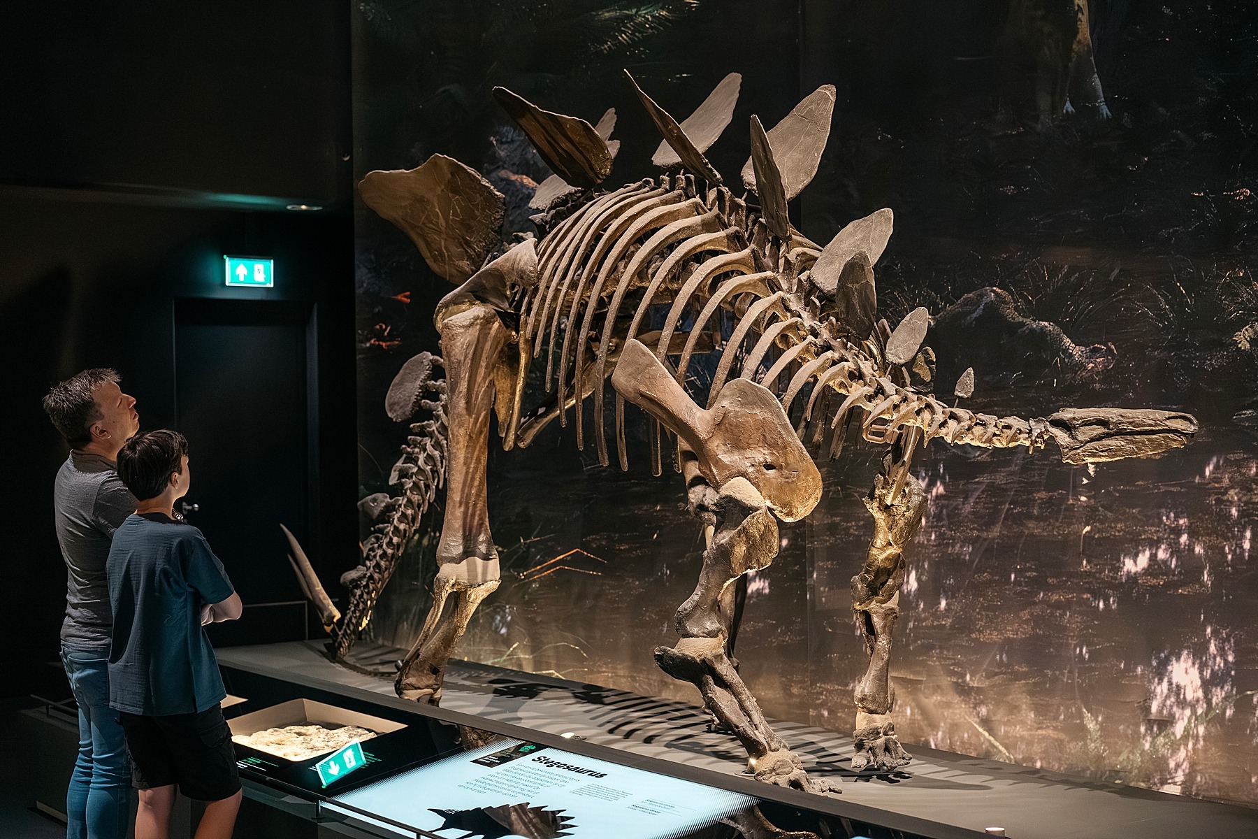 Naturalis musée histoire naturelle Leyde Hollande Pays-bas dinosaure