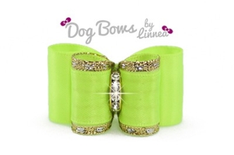 Classic Gold Satin Key Lime