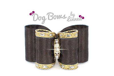 Classic Gold Satin Brown