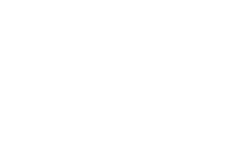 brainwork-high-resolution-logo-white-on-transparent-background