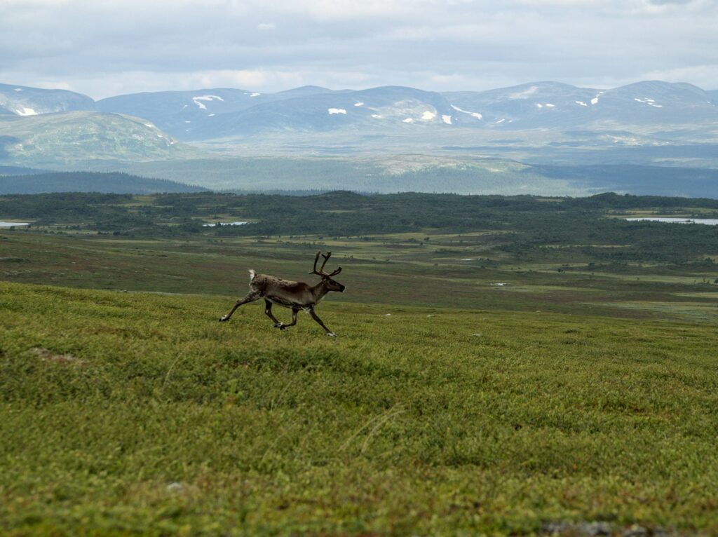 Jämtland