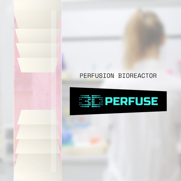 3D Pefusion animation
