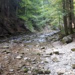 creek-close-bauer-in-der-au