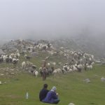 india-dharamsala-mcloedganj-triund