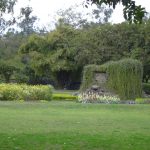 india-chandigarh-rose-garden