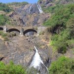 india-goa-dudhsagar-falls