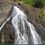 india-goa-dudhsagar-falls