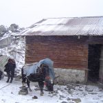 india-sikkim-goecha-la-snowstorm