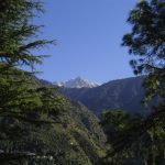 india-dharamsala-mcloed-ganj-mountain-view