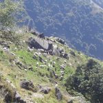india-dharamsala-mcloed-ganj-triund-trek