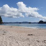 new-zealand-hahei-beach