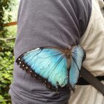 costa-rica-la-paz-waterfall-gardens