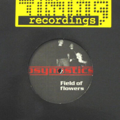 Psynostics - Field Of Flowers - 12"