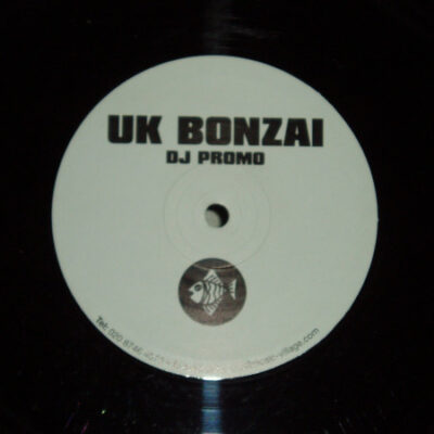 Altitude - Night Stalker - 12", Promo