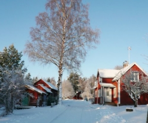 Vintertid