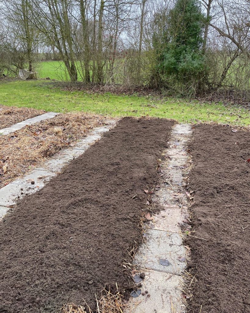 Etablering af gravefri køkkenhave: Så er der lagt kompost ud på bedene