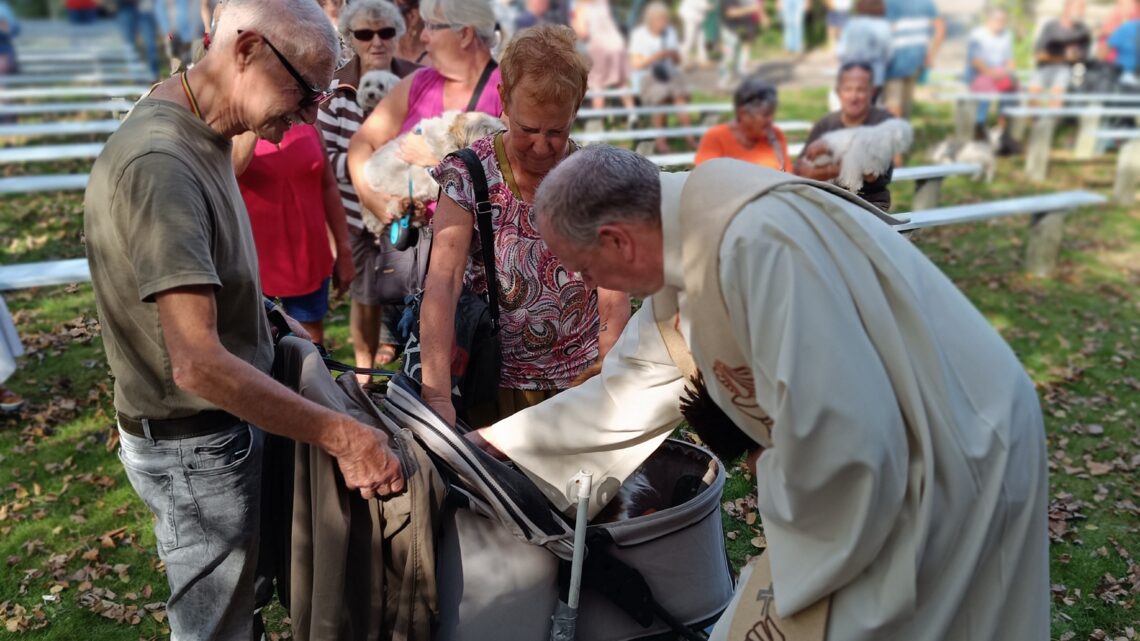 Eerste dierenzegening groot succes