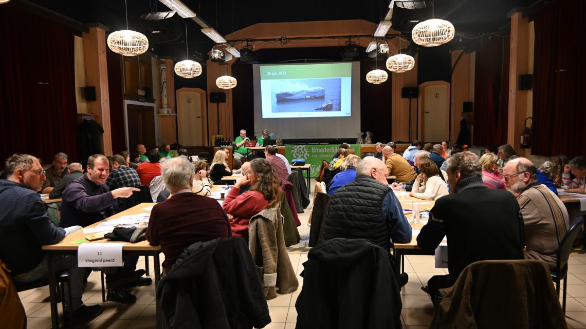 Samenwerken werkt tijdens Noord-Zuidquiz op de Vuurtorenwijk