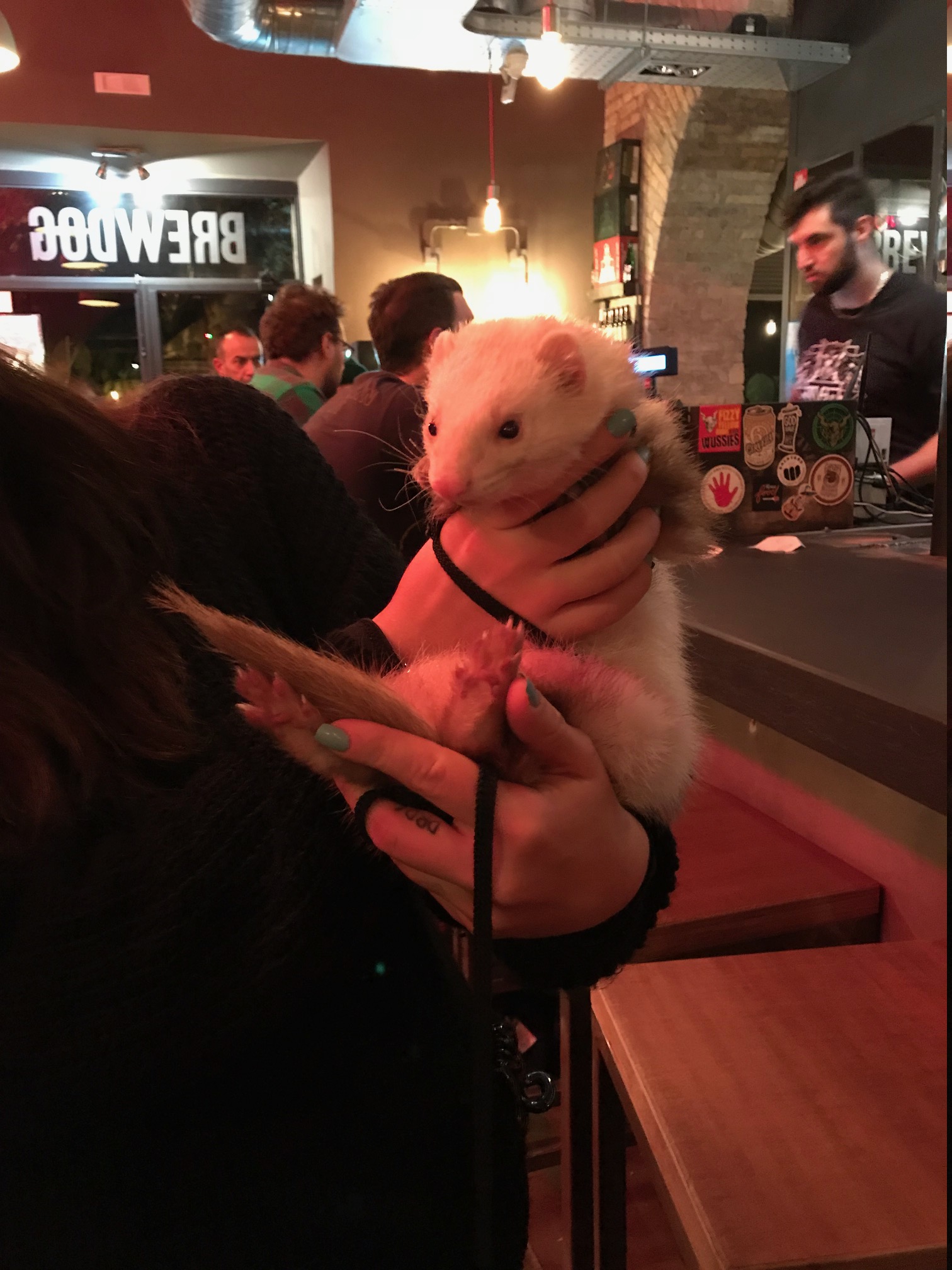 computershare-investor-centre-information-brewdogshares