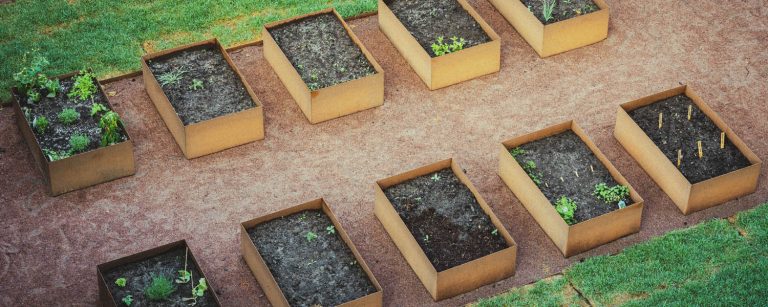 Information 2024 v.13