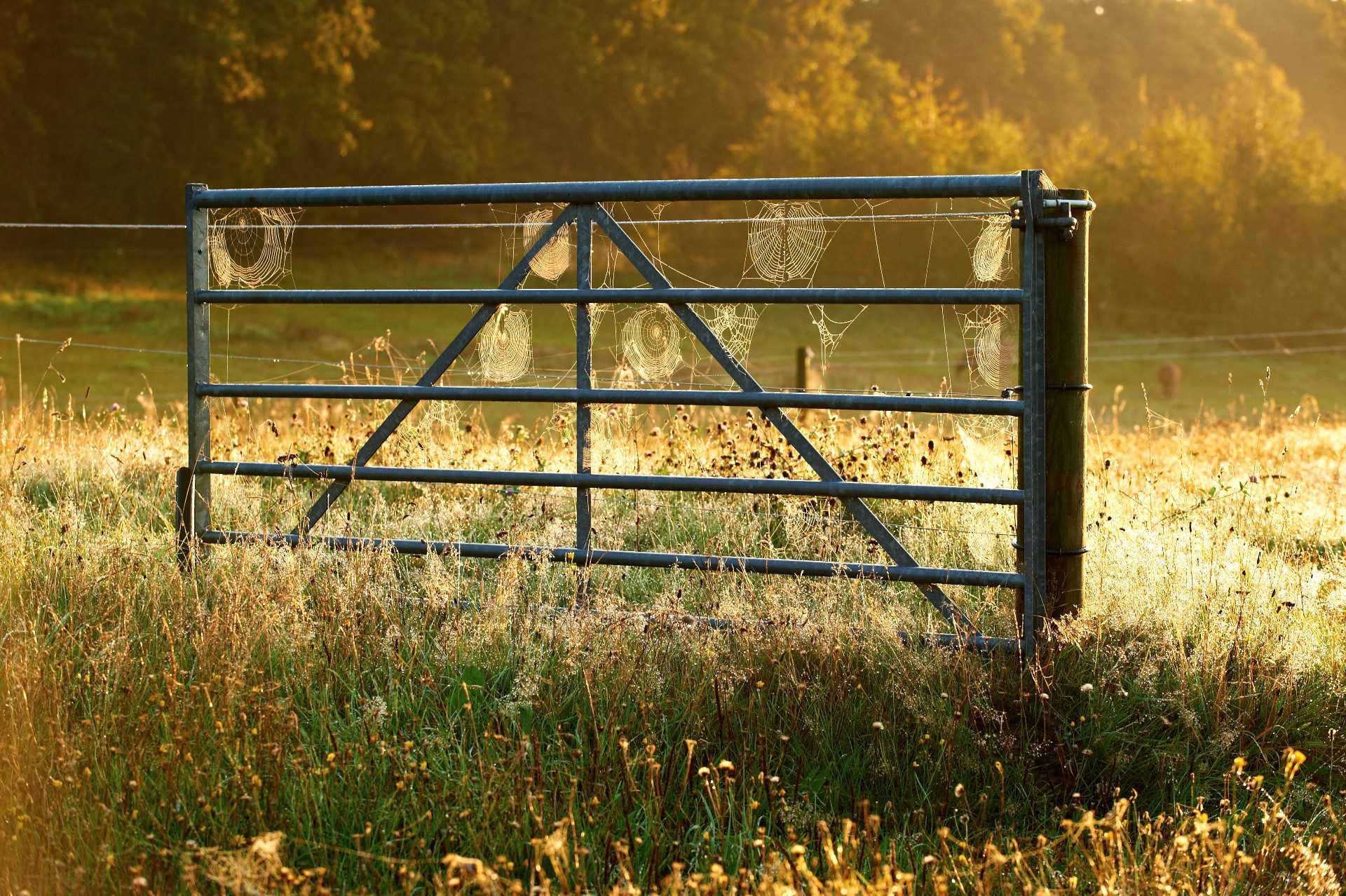 Landskabsbillede Naturbillede Landskaber