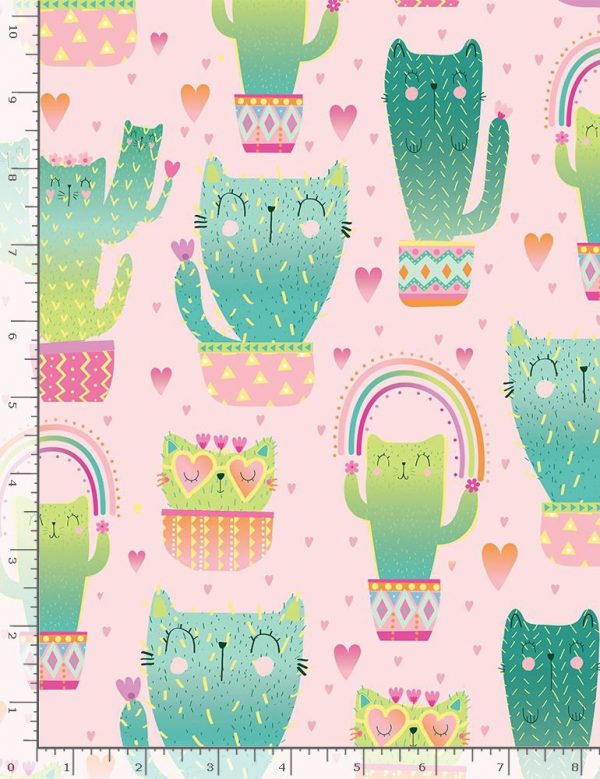 QUIRKY CAT CACTI