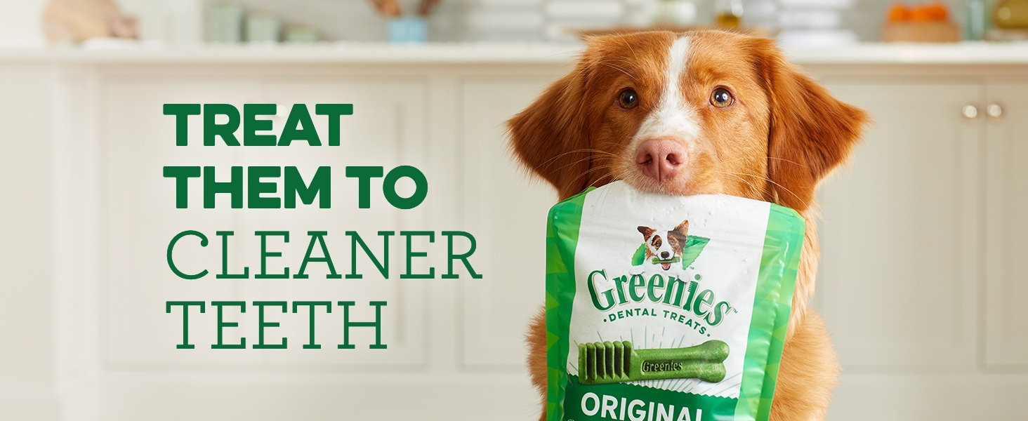 Treat them to cleaner teeth. Greenies dog dental treats