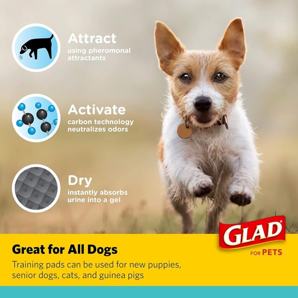 Glad for Pets Black Charcoal Puppy Pads 23" x 23" AllinOne Puppy Potty Training Pads That ABSORB & NEUTRALIZE Urine Instantly New & Improved Quality Puppy Pee Pads, (Pack of 1, 100 Count Total) - Image 34