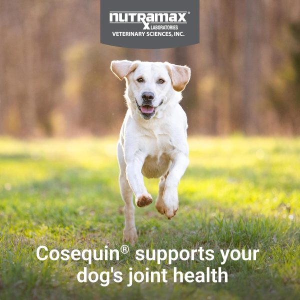 Cosequin Joint Health Supplement for Dogs - With Glucosamine, Chondroitin, MSM, and Omega-3's, 120 Soft Chews - Image 4