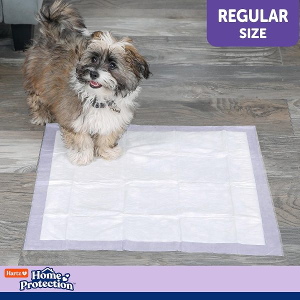 Hartz Home Protection Lavender Scented Dog Pads, 50 count, Super Absorbent & Won't Leak, Odor Eliminating - Image 7