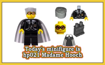 Dagens minifigur er hp021 Madame Hooch