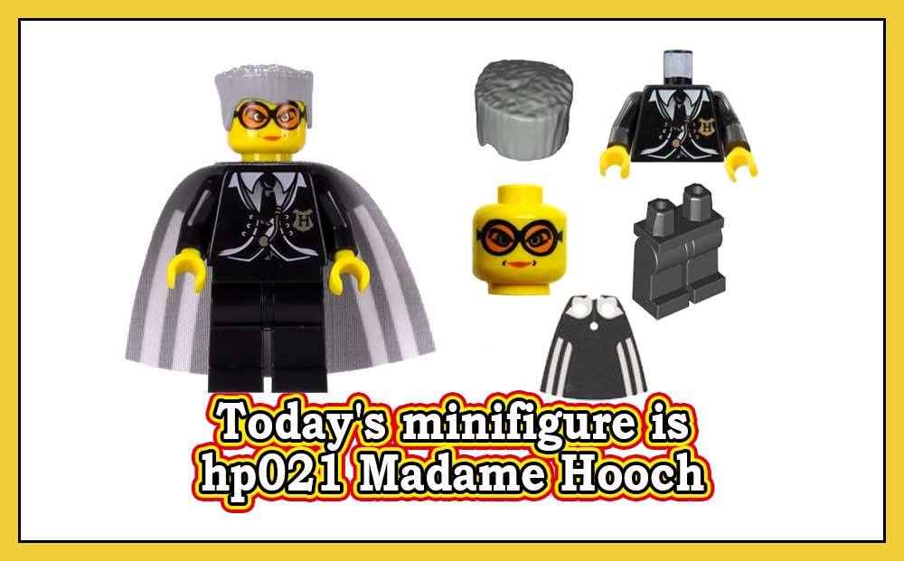 hp021 Madame Hooch