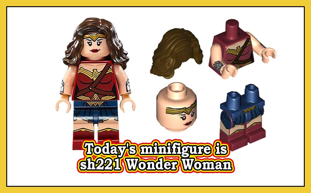 sh221 Wonder Woman
