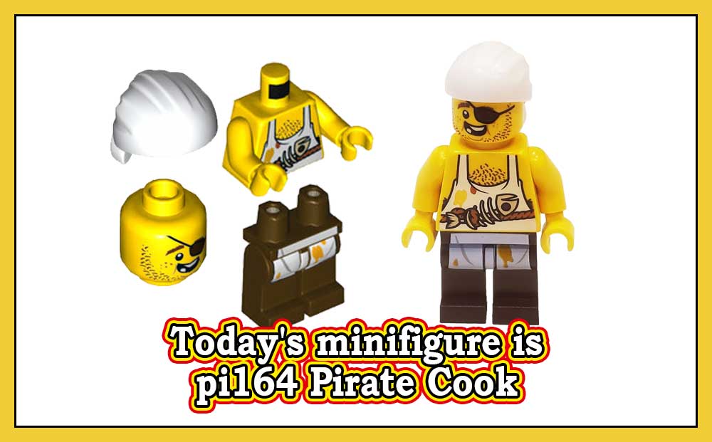 pi164 Pirate Cook