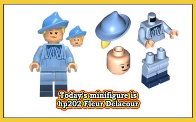 Dagens minifigur er hp202 Fleur Delacour