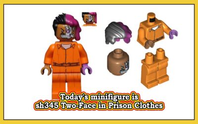 Dagens minifigur er sh345 Two-Face in Prison Clothes