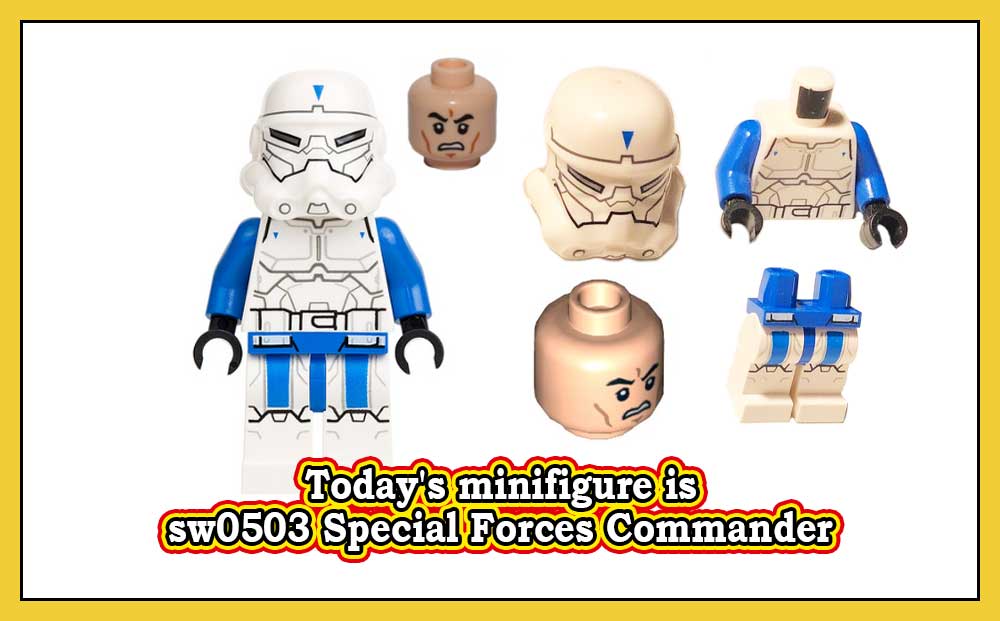 sw0503 Special Forces Commander