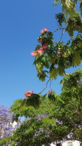 Malaga