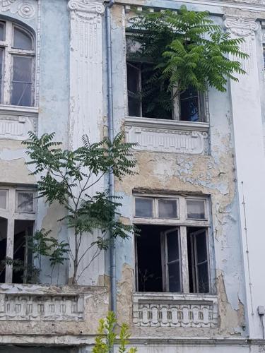 Tomt hus i Varna - træerne gror ud af vinduerne