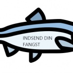 indsend din fangst