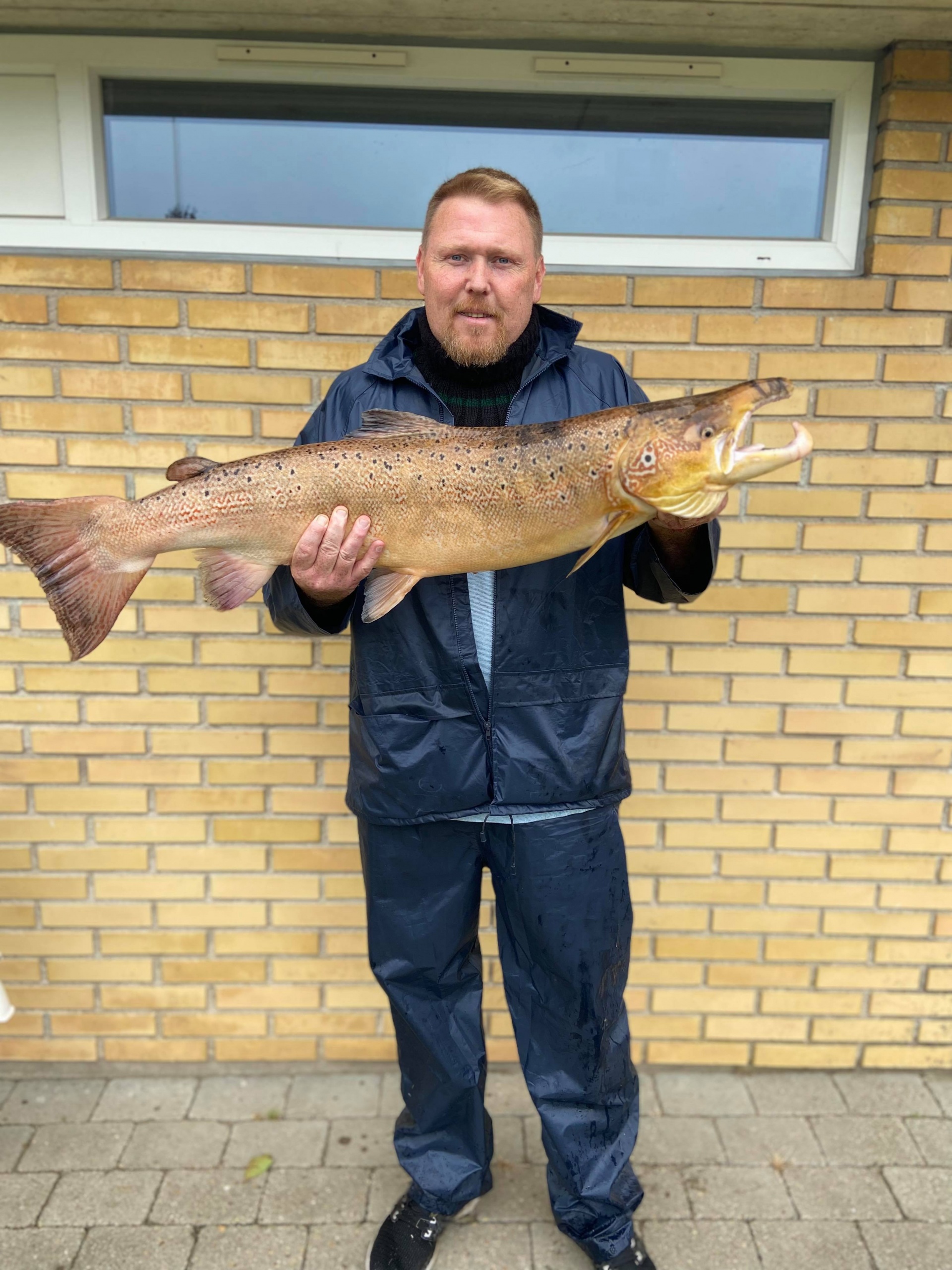 Laks 9,9 kg og 102 cm