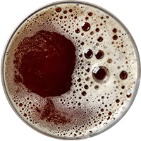 https://usercontent.one/wp/www.brouwerijpirlot.be/wp-content/uploads/2017/05/beer_transparent_02.png?media=1696423633