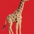 Plastic Fantastic: Giraffe