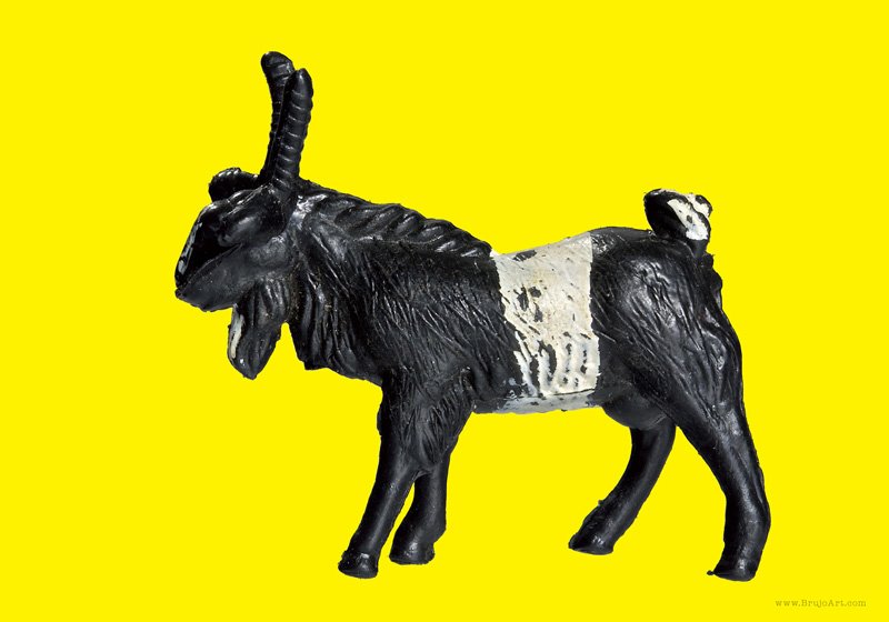 Plastic Fantastic: Goat