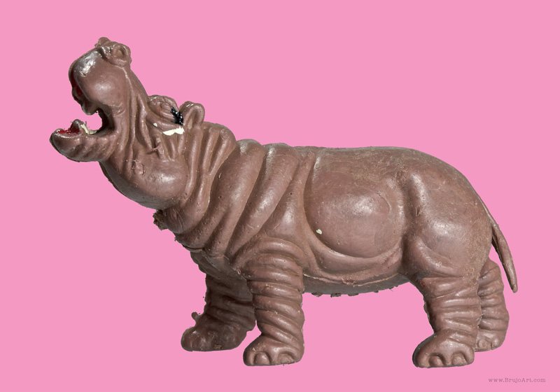 Plastic Fantastic: Hippo